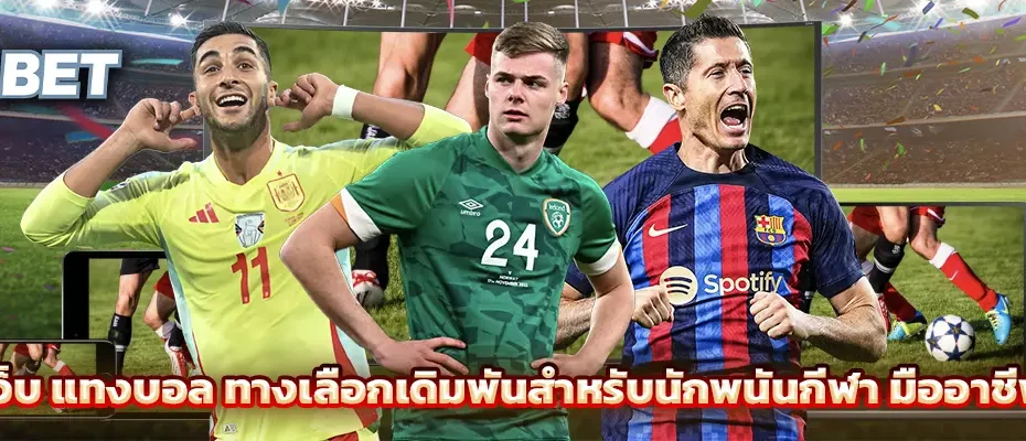 เว็บ แทงบอล